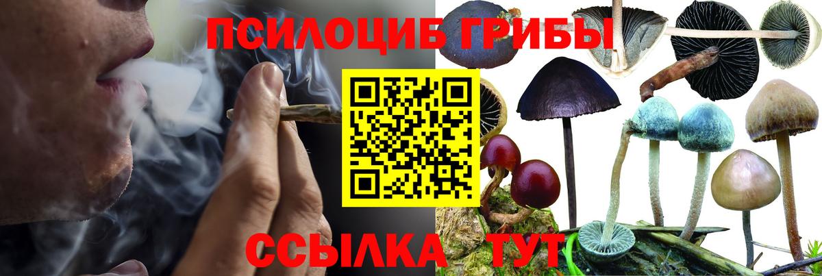 Каменск-Уральский  Псилоцибиновые грибы мицелий  Вход с VPN  Псилоцибиновые грибы прущие грибы 